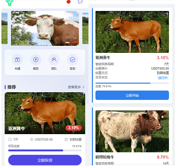 多语言养殖投资系统源码,养牛投资返利,养牛资金盘,前端VUE